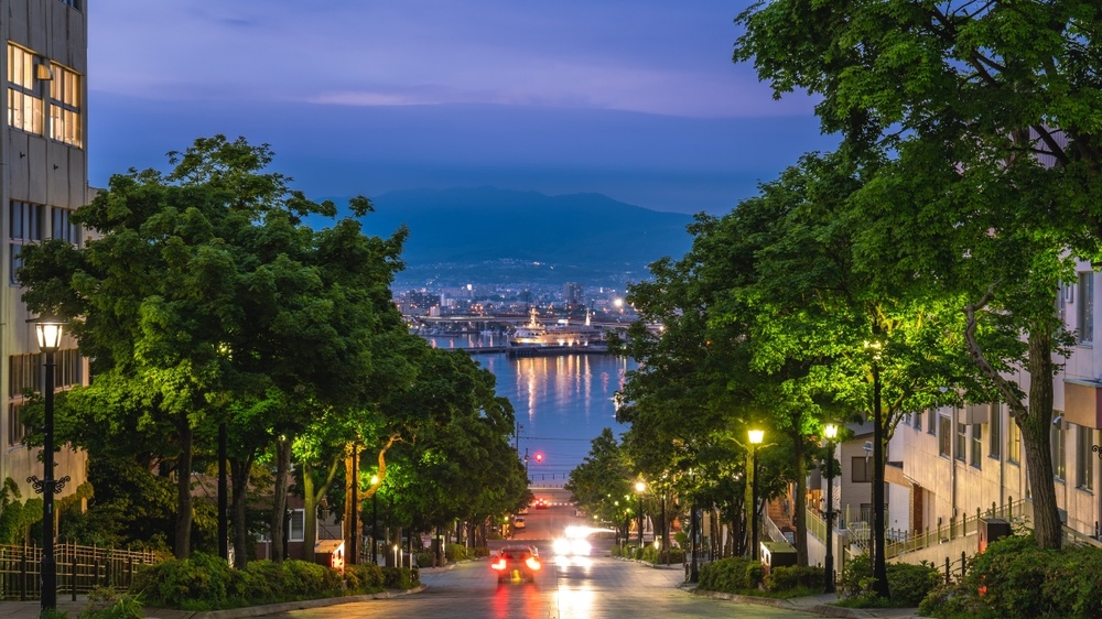 Elevating Wide-Area Security: How Advanced PTZ Cameras Safeguard Your Assets